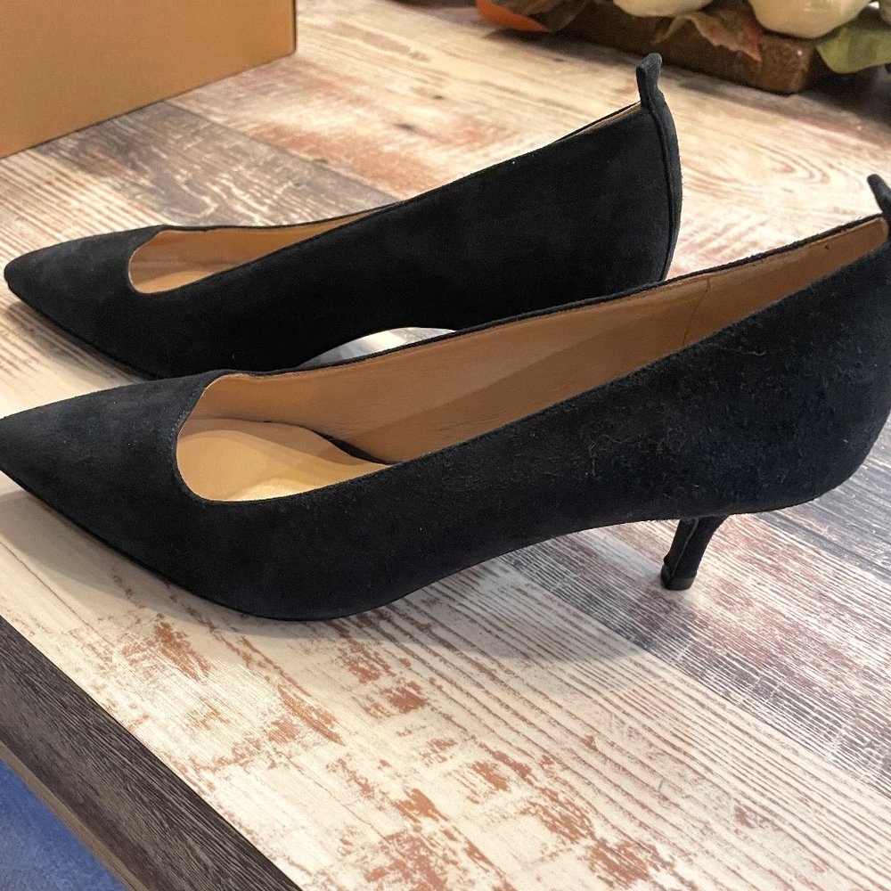 Everlane Navy Blue Suede